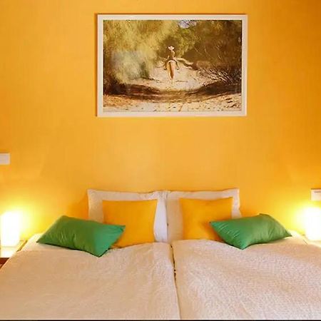 Finca Verde De La Luz Barbate Dış mekan fotoğraf